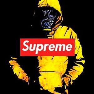 Meet your Posher, Ernesto